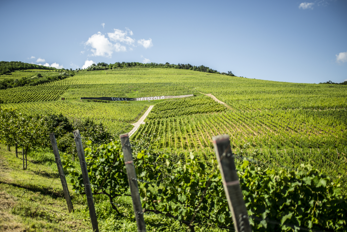 Tokaj